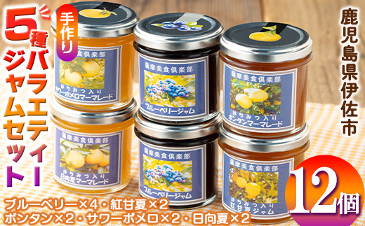 isa553 《数量限定》5種のバラエティージャム食べ比べセット(計12個・ブルーベリー×4、紅甘夏×2、ボンタン×2、サワーポメロ×2、日向夏×2)【薩摩美食倶楽部】