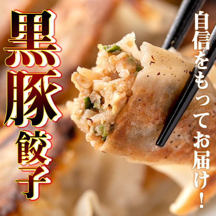 isa390 地元で人気のラーメン屋さんの黒豚生餃子！(計72個・12個入り×6P)【らーめん処力】