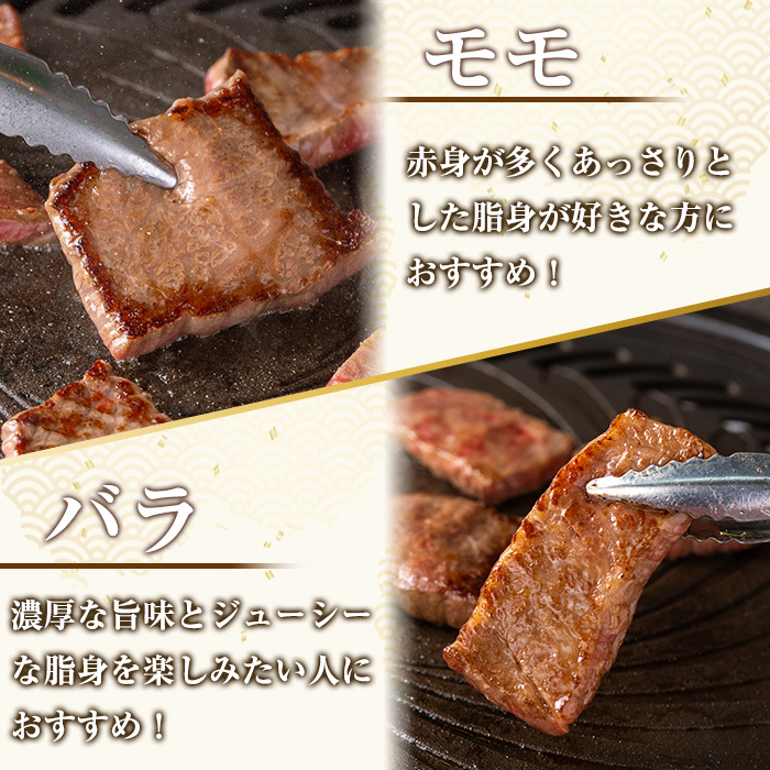 isa507 鹿児島産黒毛和牛 食べ比べ焼肉セット(計600g・バラカルビ・モモ焼肉各種300g×1P)【お肉の直売所 伊佐店】