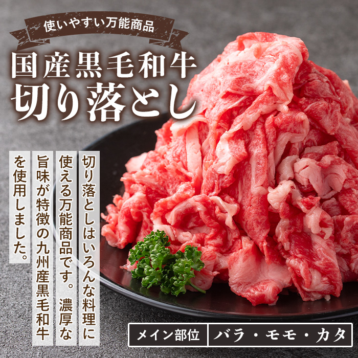 isa508 国産黒毛和牛 切り落とし(計600g・300g×2P)【お肉の直売所 伊佐店】