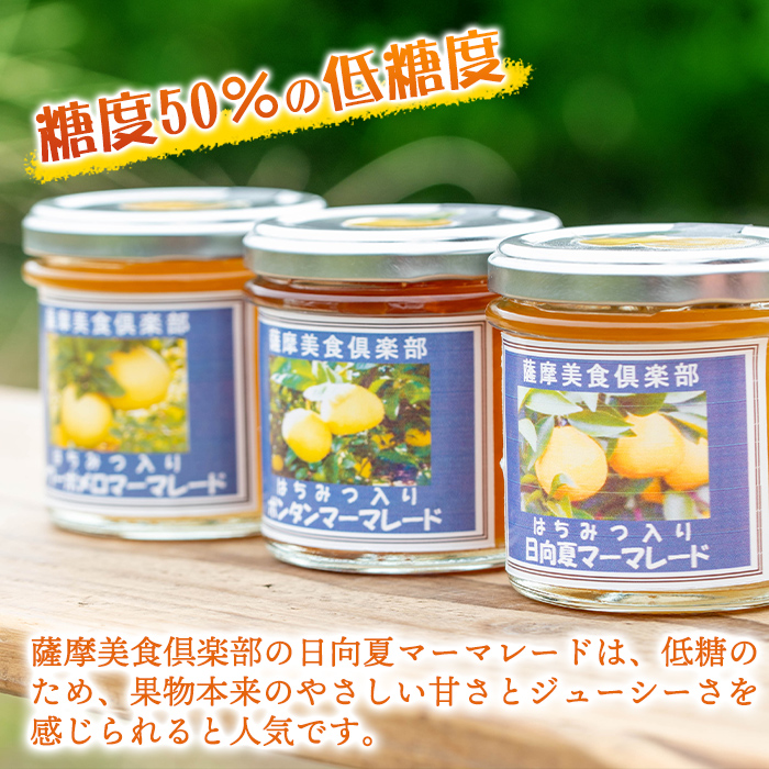 isa388 《数量限定》手作りはちみつ入り日向夏マーマレード(計3個・各140g)日向夏の果肉が入った低糖のハンドメイドジャム【薩摩美食倶楽部】