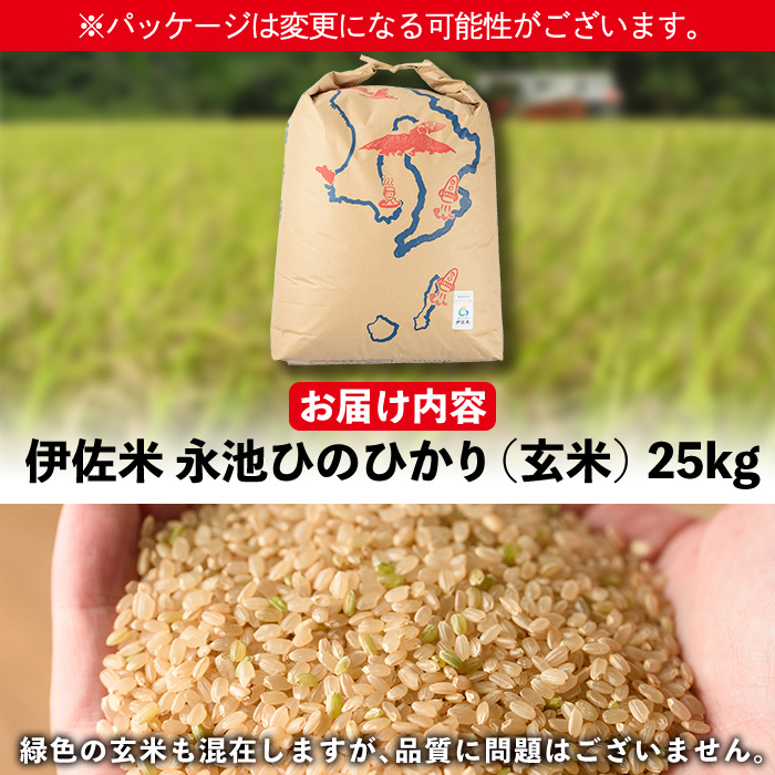 isa200 令和5年産 特別栽培米 永池ひのひかり玄米(25kg) 【エコファーム永池】