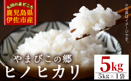 isa816 特別栽培ヒノヒカリ(5kg・5kg×1袋) 鹿児島 お米 米 白米 精米 伊佐米 ひのひかり 【やまびこの郷】