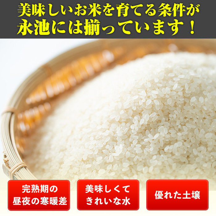 D2-04 【定期便】令和5年産 特別栽培米 伊佐米永池ひのひかり(計30kg・5kg×6ヶ月)【エコファーム永池】