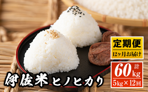 J5-02 【定期便】鹿児島県産！伊佐米ヒノヒカリ(計60kg・5kg×12ヶ月) 薩摩の北の郷、清き水の流れで生まれるお米【神薗商店】