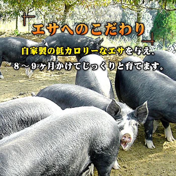 B6-01 鹿児島県産！贅沢な黒・沖田の黒豚(計1.5kg・ロース、肩ロース、バラ、モモ、ウデいずれか5パック) 自然放牧・自家製飼料で大切に育てられた黒豚肉【沖田黒豚牧場】