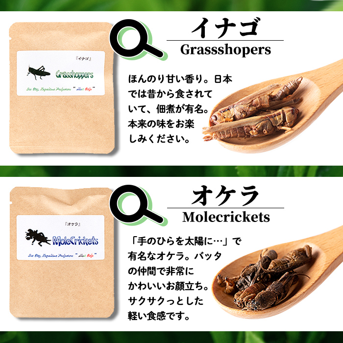 isa385 むしカフェ・昆虫食べ比べ3種！(各種3g)フタホシコオロギ・イナゴ・オケラ【いさ工房】