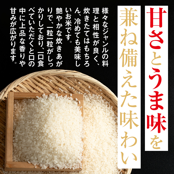 isa527 《先行予約受付中！2024年12月より順次発送》《期間・数量限定》鹿児島県伊佐市産あきほなみ レブライス(計10kg・計5kg×2袋)【株式会社鹿児島レブナイズ】