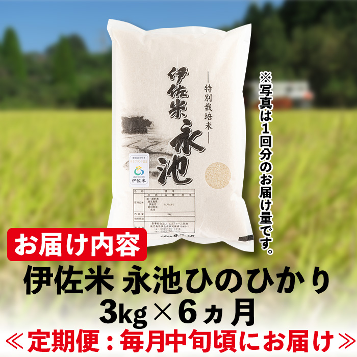 C0-09 【定期便】令和5年産 特別栽培米 伊佐米永池ひのひかり(計18kg・3kg×6ヶ月)【エコファーム永池】