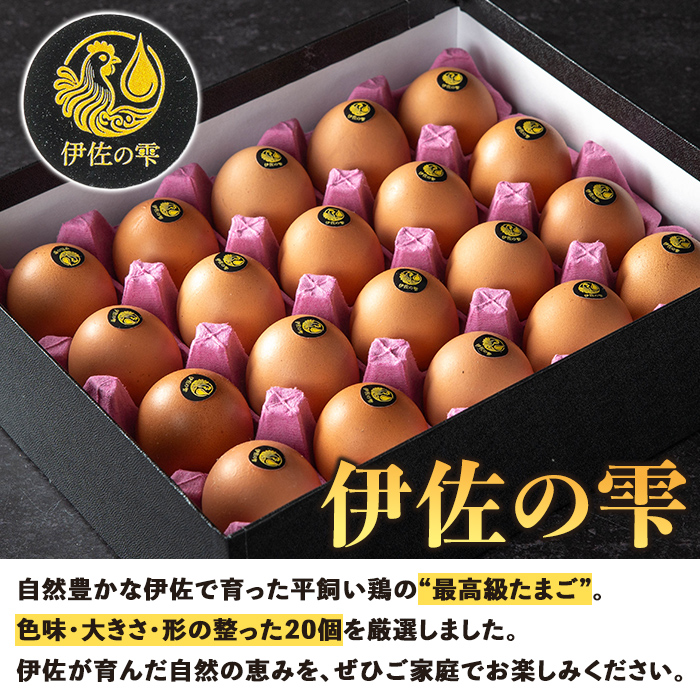 isa747 いちき農園の伊佐の雫(計20個) たまご 卵 平飼い 鶏 低コレステロール 抗生物質不使用 卵かけご飯 TKG 贈答用 プレゼント 【いちき農園】