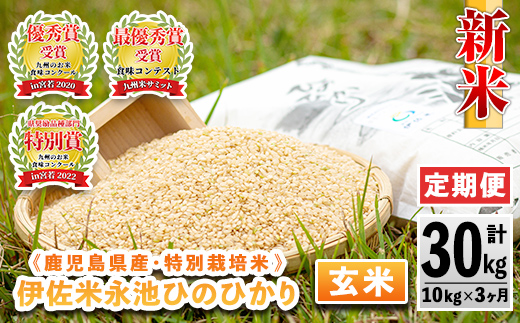 isa538 【定期便】令和6年産 新米 特別栽培米 永池ひのひかり玄米(計30kg・10kg×3ヶ月)【エコファーム永池】