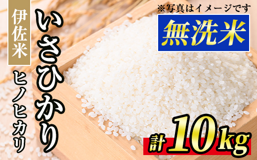 A6-02 いさひかり無洗米(5kg×2袋・計10kg) ふるさと納税 伊佐市 特産品 お米 米 白米 精米 伊佐米 ご飯 ヒノヒカリ 無洗米【JA北さつま】