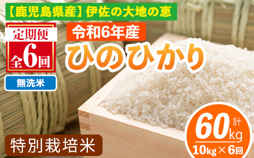 isa517-B 【定期便6回】 ＜無洗米＞令和6年産 鹿児島県伊佐産 特別栽培ひのひかり(計60kg・10kg×6ヵ月)【Farm-K】