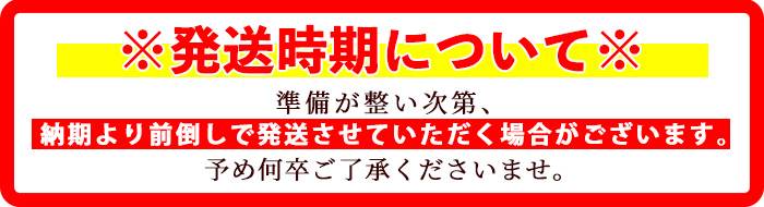 isa425 《訳あり・予約受付中！2025年1月より順次発送予定》熟成紅はるか(約5kg・2L〜3Lサイズ混合) 【いさ工房】