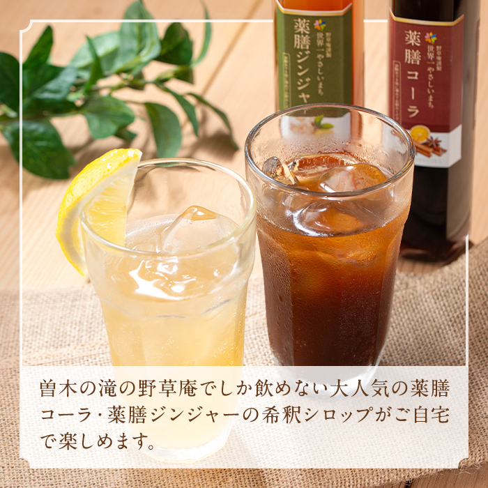 isa749 野草庵オリジナル 薬膳コーラシロップ・薬膳ジンジャーシロップセット(各200ml×1本) 薬膳コーラ 薬膳ジンジャー コーラシロップ ジンジャーシロップ 薬膳ドリンク クラフトコーラ ジンジャーエール 健康 美容 スパイス 【やさしいまち】