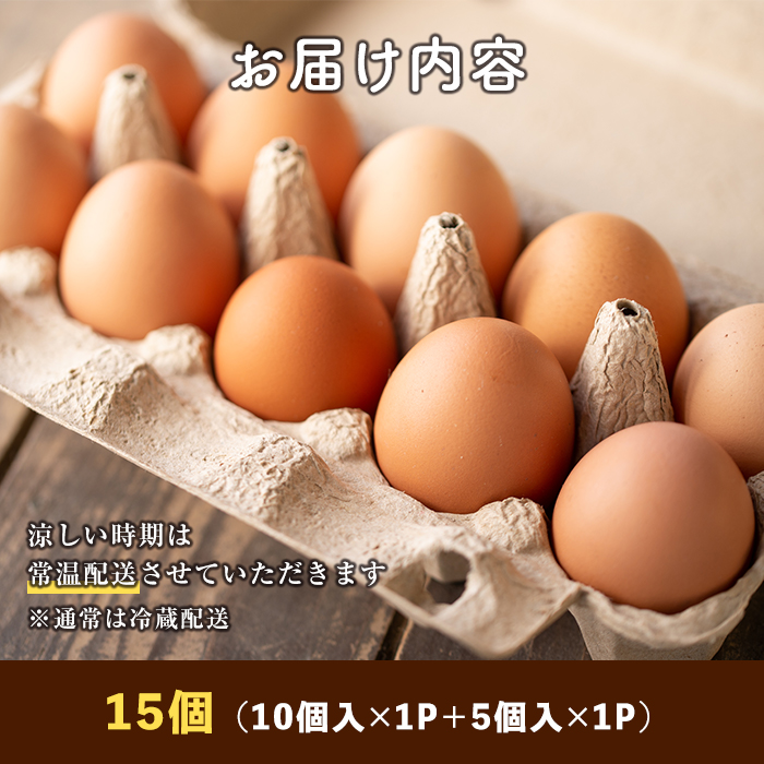 Z5-01 いちき農園のこだわり卵(計15個・10個入り+5個入り) 自然豊かな伊佐で育てた平飼い鶏の低コレステロール卵！抗生物質不使用！【いちき農園】