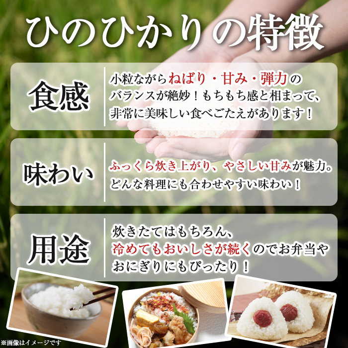 isa845 鹿å
å³¶çç£ã²ã®ã²ããã»ããã»ãªã¿é£ã¹æ¯ã¹ã»ãã(å5kgã»åèš10kg) åœç£ 鹿å
å³¶ç ç±³ ãç±³ çœç±³ äŒäœç±³ ã²ã®ã²ãã ããã»ãªã¿ é£ã¹æ¯ã¹ ã»ãã ãèµ€åŽèŸ²åã