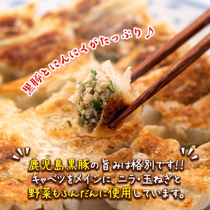 isa781 黒豚にんにく餃子(計152個・8個入り×19P) 鹿児島 生餃子 ギョウザ 黒豚 豚肉 冷凍食品 おかず おつまみ 惣菜 小分け 焼くだけ 簡単調理 冷凍便 【工房ゆう】