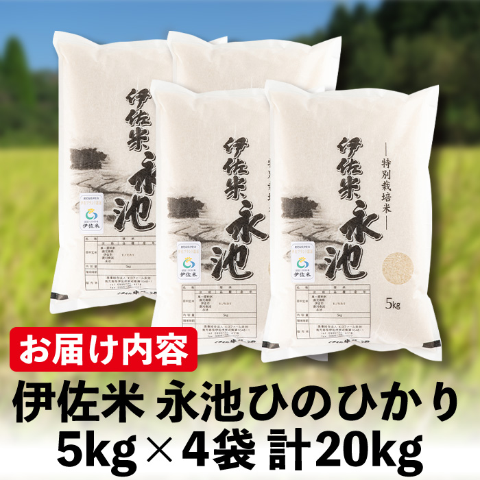 B8-05 令和5年産 特別栽培米 永池ひのひかり(計20kg・5kg×4袋)【エコファーム永池】