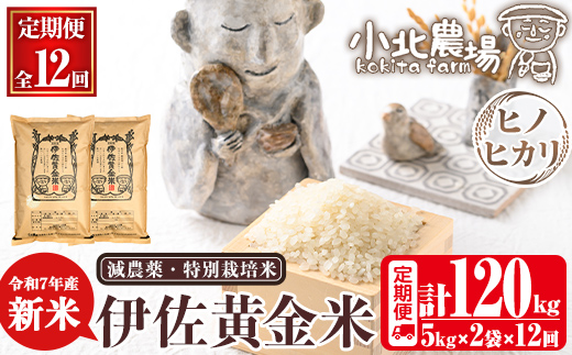 isa793 《数量限定・12回定期便》令和7年産 小北農場の新米 伊佐黄金米〈ヒノヒカリ〉(計120kg・5kg×2袋×12回) 鹿児島 伊佐 新米 お米 120kg 定期便 12回 特別栽培米 伊佐米 白米 ヒノヒカリ ひのひかり おにぎり ごはん  【小北農場】
