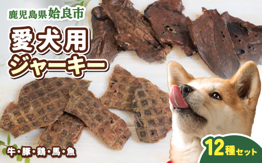 犬用 ジャーキー 詰め合わせ セット 計600g (50g×12P) 国産 牛 豚 鶏 馬 魚 ふわふわ 薄切り 多素材 バリエーション パピー シニア犬 小型犬 中型犬 ご褒美 おやつ トレーニング (a883)