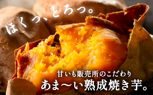 冷凍 焼き芋 3種セット(紅はるか1kg 安納芋1kg シルクスイート1kg) さつまいも 芋 冷やし焼き芋 食べ比べ ストック 腸活 おやつ 間食 人気 国産 自然食品 (a0001-3S）