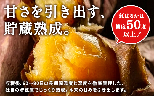 冷凍 焼き芋(安納芋2kg) さつまいも 芋 冷やし焼き芋 ストック 腸活 おやつ 間食 人気 国産 自然食品 (a0001-A2)