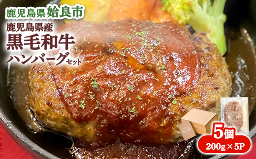 黒毛和牛100% ハンバーグ 冷凍 計1kg(200g×5P) 和牛 牛肉 国産 個包装 こだわり 惣菜 人気 AKR Food Company (a750)