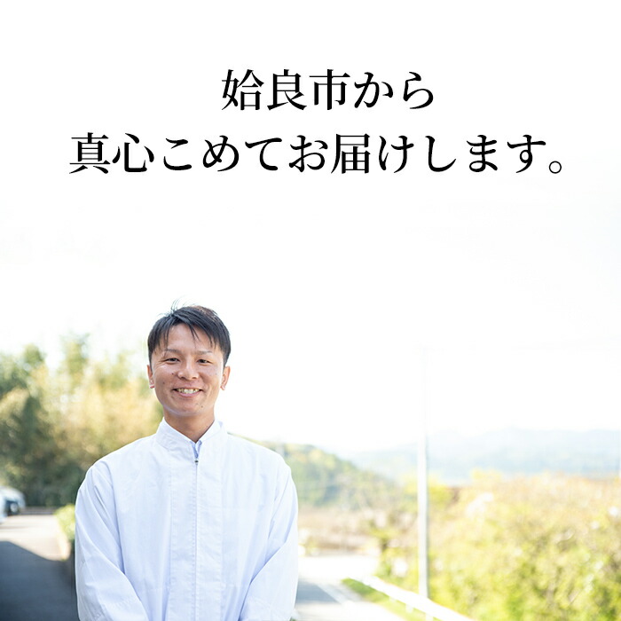 a519 åœç£ãããšãã»ãã(ã¿ã¬ä»ãã»å·åç)èš60æ¬çŽ1.8kgããã¿ãããŒãºãé¶è é³¥è çŒé³¥ ãã ç® ãšãç® ãããã®ã è±ãã© ã€ãã å·å å°åã ã¿ã¬ä»ã ã»ãã å å·¥å ç·è ããã ããŒããã¥ãŒ