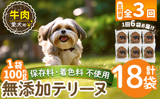 a1055-D 【3回定期便】＜保存料・着色料 不使用＞愛犬用無添加牛テリーヌ6袋×3回(1袋約100g・合計約1.8kg)【Nフードサービス】姶良市 牛 テリーヌ 犬 ドッグ ペット フード エサ おやつ ごはん ご飯 間食 ご褒美 ペット関係