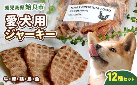 犬用 ジャーキー 詰め合わせ セット 計600g (50g×12P) 国産 牛 豚 鶏 馬 魚 ふわふわ 薄切り 多素材 バリエーション パピー シニア犬 小型犬 中型犬 ご褒美 おやつ トレーニング (a883)
