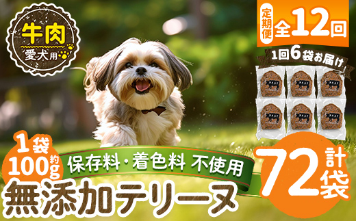 a1055-F 【12回定期便】＜保存料・着色料 不使用＞愛犬用無添加牛テリーヌ6袋×12回(1袋約100g・合計約7.2kg)【Nフードサービス】姶良市 牛 テリーヌ 犬 ドッグ ペット フード エサ おやつ ごはん ご飯 間食 ご褒美 ペット関係