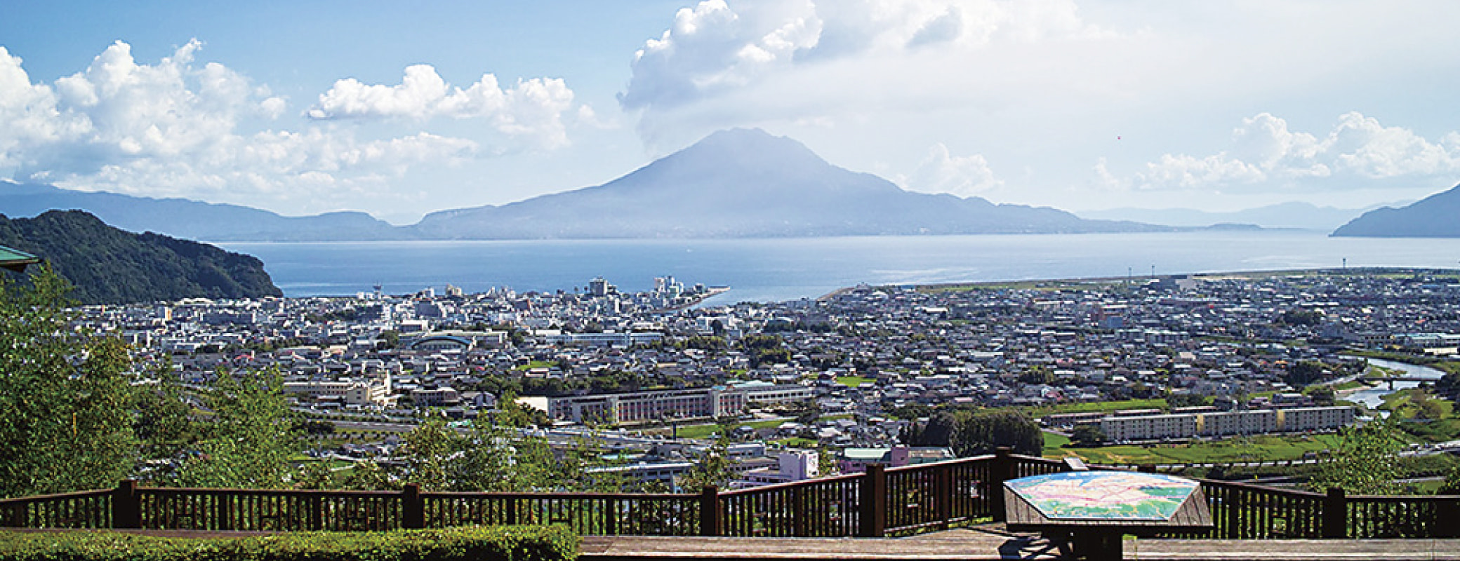鮖ソ蜈仙ウカ逵 蟋カ濶ッ蟶