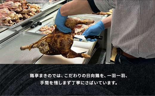 鹿児島県産 鳥刺し とり刺し 250g(250g×1P) 冷凍 小分け おつまみ 晩酌 家飲み （a926-A）