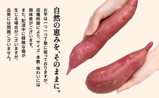 邏縺ッ繧九°(逕溯葛4kg)縺輔▽縺セ縺繧 闃 繧ケ繝医ャ繧ッ 閻ク豢サ 縺翫d縺、 髢馴」 莠コ豌 蝗ス逕」 閾ェ辟カ鬟溷刀 (a174)