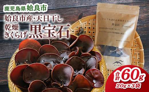 【選べる】 乾燥きくらげ 国産 天日干し 計60g(20g×3袋) キノコ 鹿児島県産 アラゲキクラゲ 乾物 キクラゲ 茸 ぷりっと食感 (a745)