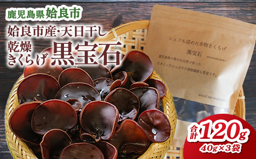 【選べる】 乾燥きくらげ 国産 天日干し 計120g(40g×3袋) キノコ 鹿児島県産 アラゲキクラゲ 乾物 キクラゲ 茸 ぷりっと食感 (a769)