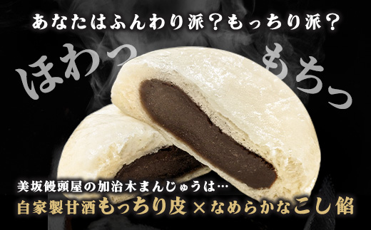 〈平日着希望〉 饅頭 詰め合わせ 加治木まんじゅう 美坂屋 10個セット 甘酒仕込み こしあん 和菓子 ふっくら 蒸し饅頭 お茶菓子 (a1049-A-01)