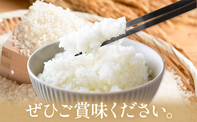 縲3繝カ譛亥ョ壽悄萓ソ縲代≠縺阪⊇縺ェ縺ソ 邀ウ 5kg/譛暗3蝗槭翫♀逕ウ霎シ縺ソ鄙梧怦縺九i蜃コ闕キ縲九°縺倥d霎イ逕」 縺顔アウ 縺秘」ッ 逋ス邀ウ 逋ス鬟ッ 縺薙a 鮖ソ蜈仙ウカ逵 縺輔▽縺セ逕コ
