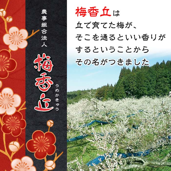 s610 《訳あり》梅干しセット！国産赤紫蘇100%使用しそ漬け・白干し(合計1.6kg・400g×各2箱) 鹿児島 国産 梅 うめ ウメ 梅干し ご飯のお供に 食べ比べ セット 常温 【梅香丘】