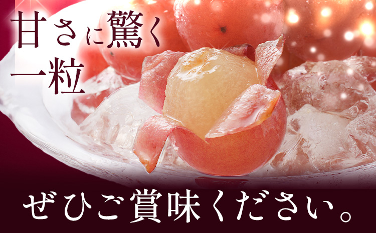 ã¶ã©ã ãã㊠ã¯ã€ãŒã³ããŒã 1kg ã8æäžæ¬-10æäžæ¬é åºè·ã å€§èææš¹å ãã«ãŒã ãã〠çã æç© ãã ã㮠鹿å
å³¶ç ãã€ãŸçº