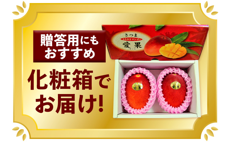 鹿児島県産 マンゴー 化粧箱入り 2玉 4L よしたか農園《5月上旬‐5月下旬頃出荷》鹿児島県 さつま町 マンゴー 果物 フルーツ 送料無料