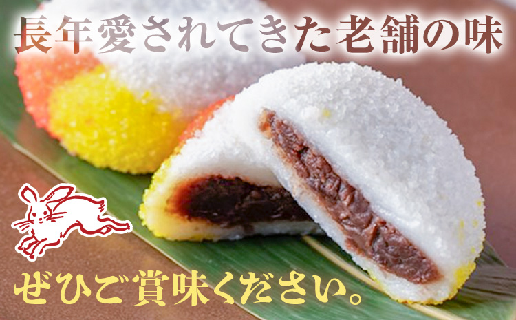 いちごまんじゅう引換券 計25個分 是枝商店《5月上旬-9月末頃出荷》鹿児島県 さつま町 和菓子 饅頭 まんじゅう いちごまんじゅう うるち米 粒あん 特産品 チケット【店舗引き取り限定】