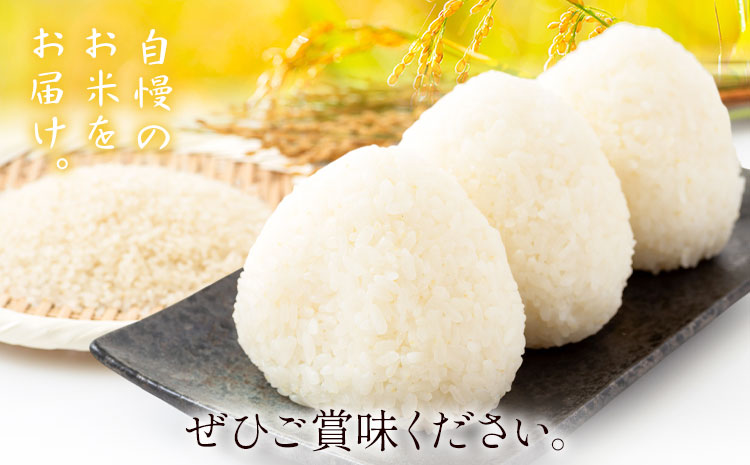 縲3繝カ譛亥ョ壽悄萓ソ縲代≠縺阪ョ闊 邀ウ 5kg/譛暗3蝗槭翫♀逕ウ霎シ縺ソ鄙梧怦縺九i蜃コ闕キ縲九°縺倥d霎イ逕」 縺顔アウ 縺秘」ッ 逋ス邀ウ 逋ス鬟ッ 縺薙a 鮖ソ蜈仙ウカ逵 縺輔▽縺セ逕コ