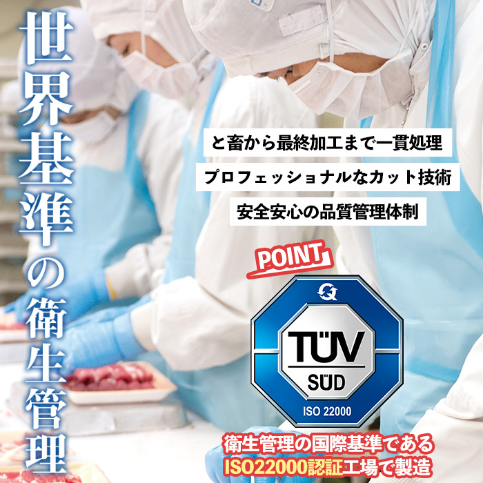 s140 鹿児島県産南国黒牛(肉専用種)切落し(計500g・250g×2パック) 鹿児島 国産牛 牛肉 黒牛 赤身 切落し 切り落とし スライス【カミチク】