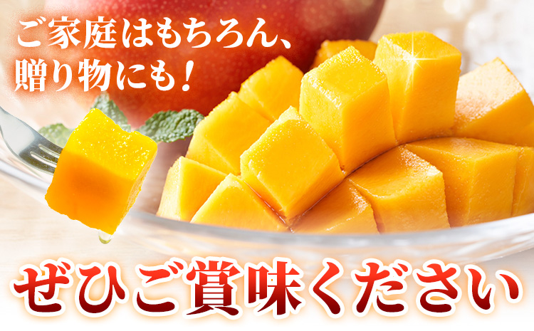 鹿児島県産 完熟マンゴー 化粧箱入り 約1kg 祝迫果樹園《6月中旬-7月中旬頃出荷》鹿児島県 さつま町 マンゴー 果実 果物 くだもの フルーツ 果肉 果汁 高級 ご褒美 贅沢 グルメ
