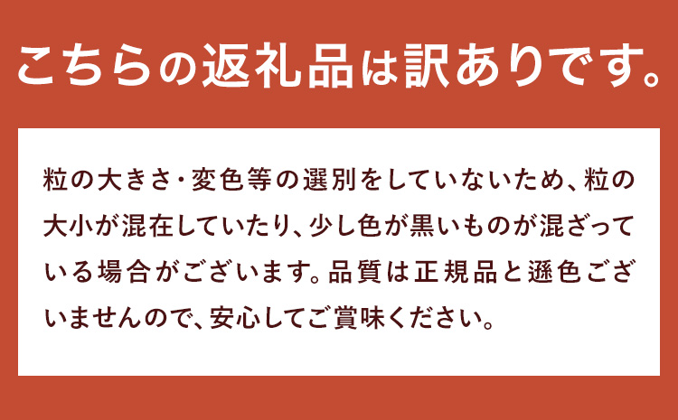 險ウ縺ゅj 譴蟷イ縺苓ゥー繧∝粋繧上○ 4遞ョ 霎イ莠狗オ蜷域ウ穂ココ 譴鬥吩ク倥30譌・莉・蜀縺ォ蜃コ闕キ莠亥ョ(蝨滓律逾晞勁縺)縲矩ケソ蜈仙ウカ逵 縺輔▽縺セ逕コ 縺繧√⊂縺 陷り惧 鮟帝「 鮟堤ウ 縺雁叙繧雁ッ縺 繝励Ξ繧シ繝ウ繝