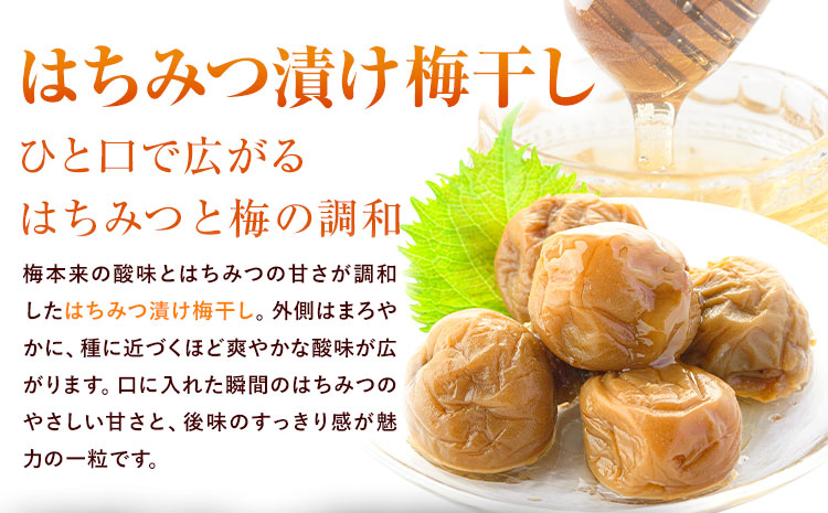 險ウ縺ゅj 縺ッ縺。縺ソ縺、貍ャ縺第「蟷イ縺 350gテ4邂ア 螳壽悄萓ソ 4蝗 霎イ莠狗オ蜷域ウ穂ココ 譴鬥吩ク倥翫♀逕ウ霎シ縺ソ鄙梧怦縺九i蜃コ闕キ縲矩ケソ蜈仙ウカ逵 縺輔▽縺セ逕コ 縺繧√⊂縺 陷り惧 縺雁叙繧雁ッ縺 繝励Ξ繧シ繝ウ繝