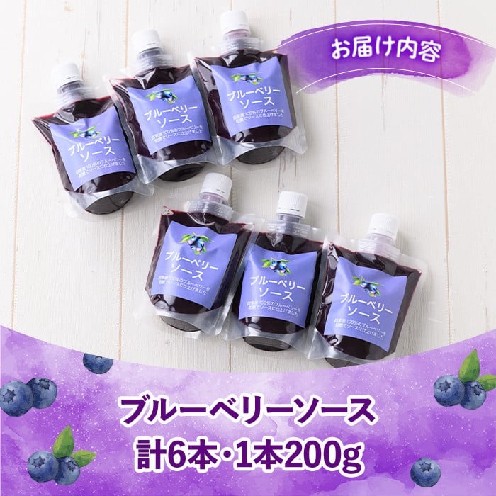 s520 ≪毎月数量限定≫ブルーベリーソース(計6本・1本200g) 鹿児島 国産 九州産 フルーツ 調味料【田野農園】