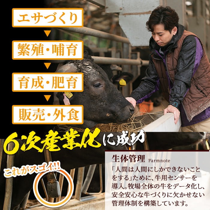 s371 さつま福永牛 家族で楽しむ焼肉セット(500g×2P・計1kg)鹿児島 国産 九州産 黒毛和牛 牛肉 バラ ロース 焼肉【福永畜産】